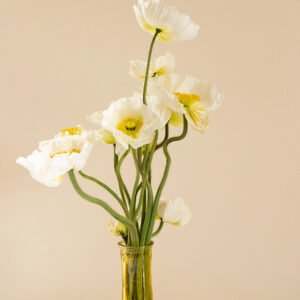 White Daffodils Flowers