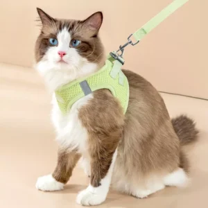 Reflective Cat & Dog Harness Leash Set
