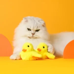 Interactive Flapping Duck Cat Toy